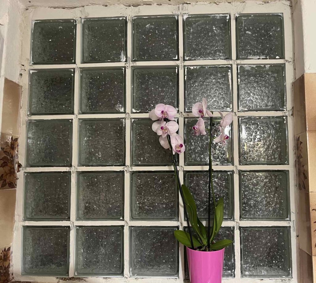 0 02 05 b87a83dd6985b3f36e57cea707ff8852d498b8e781d96440ef75e206df1d25e7 ecd33d4524bd7925